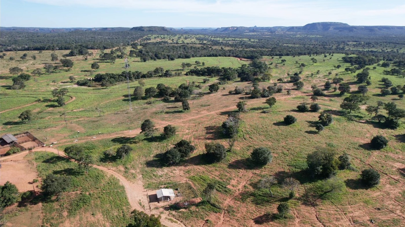 Fazenda - Foto 1