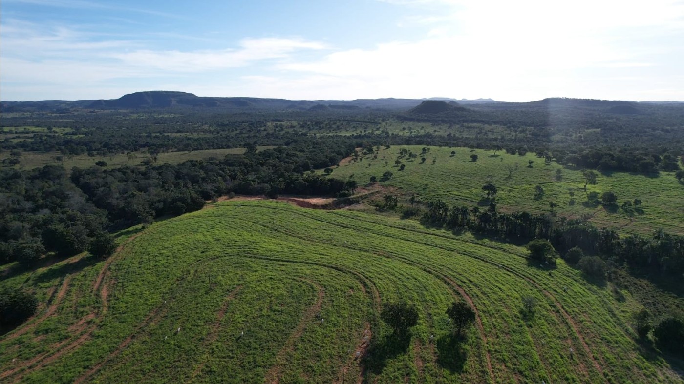 Fazenda - Foto 22