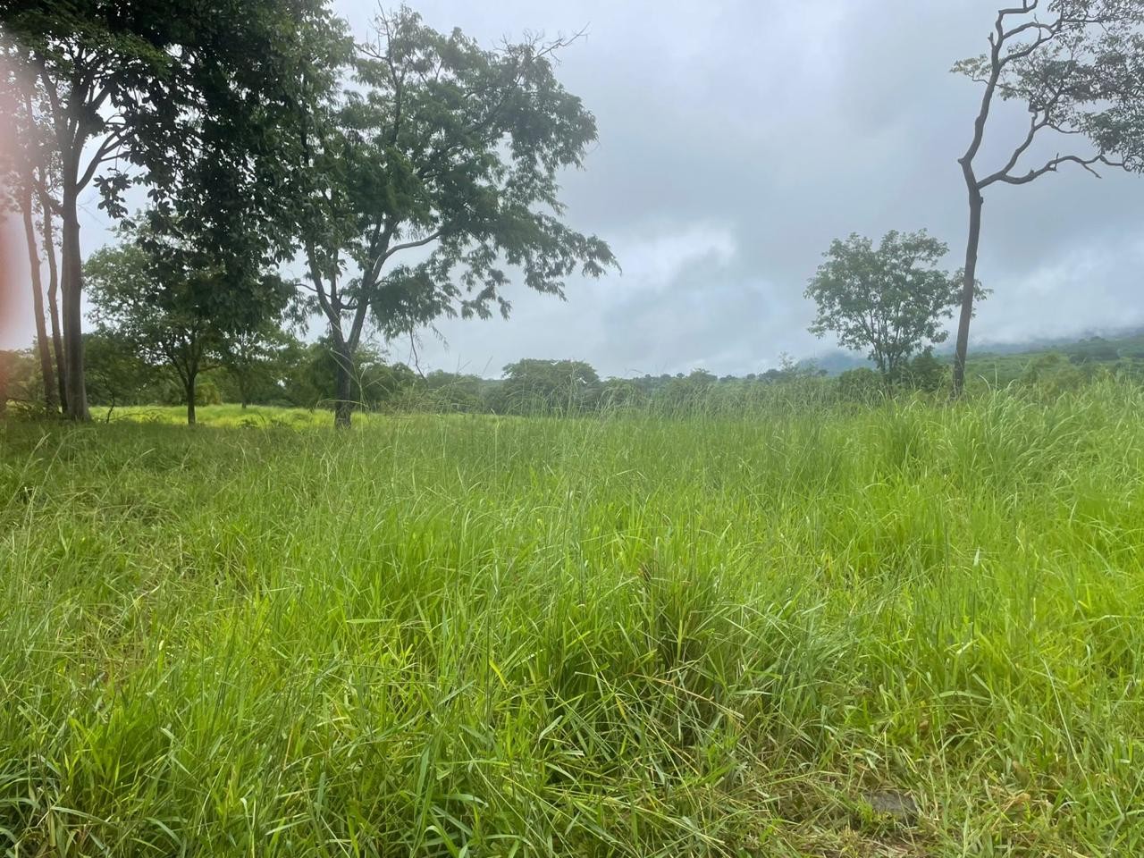 Fazenda - Foto 27