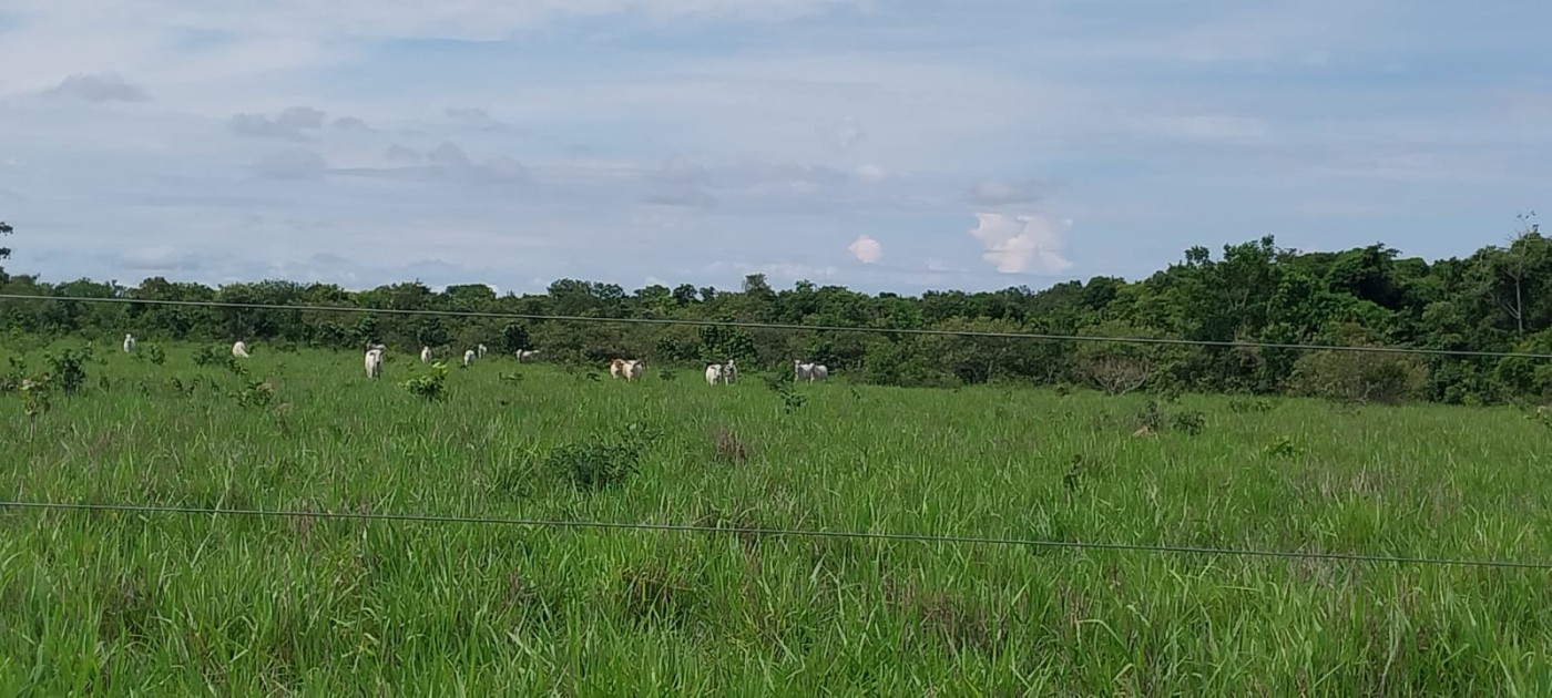 Fazenda, 588 m² - Foto 4