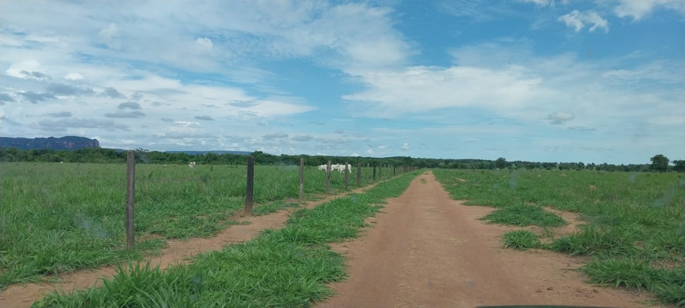 Fazenda, 588 m² - Foto 5