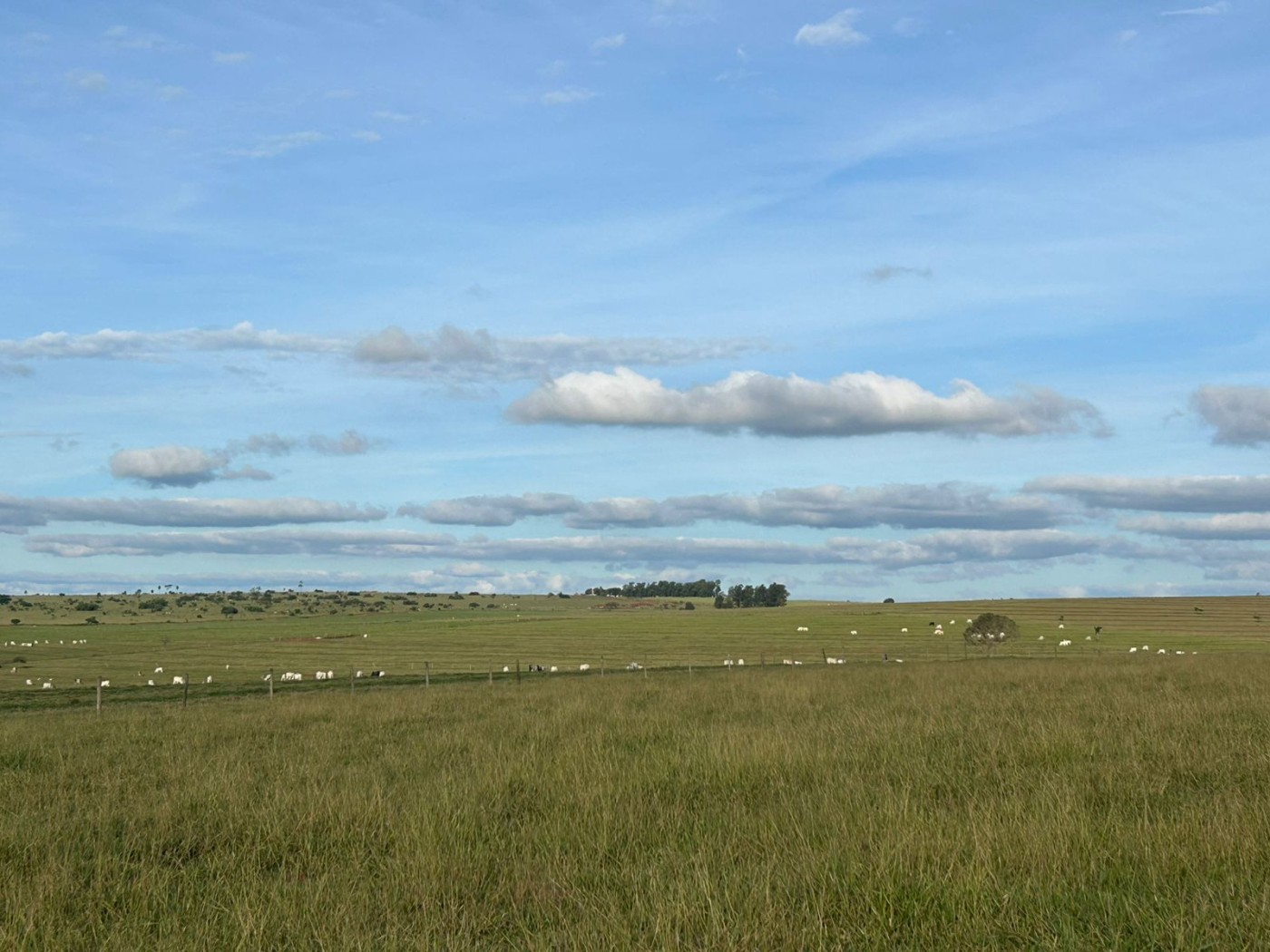 Fazenda, 560 m² - Foto 3