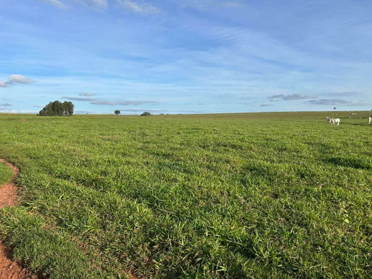 Fazenda, 560 m² - Foto 2