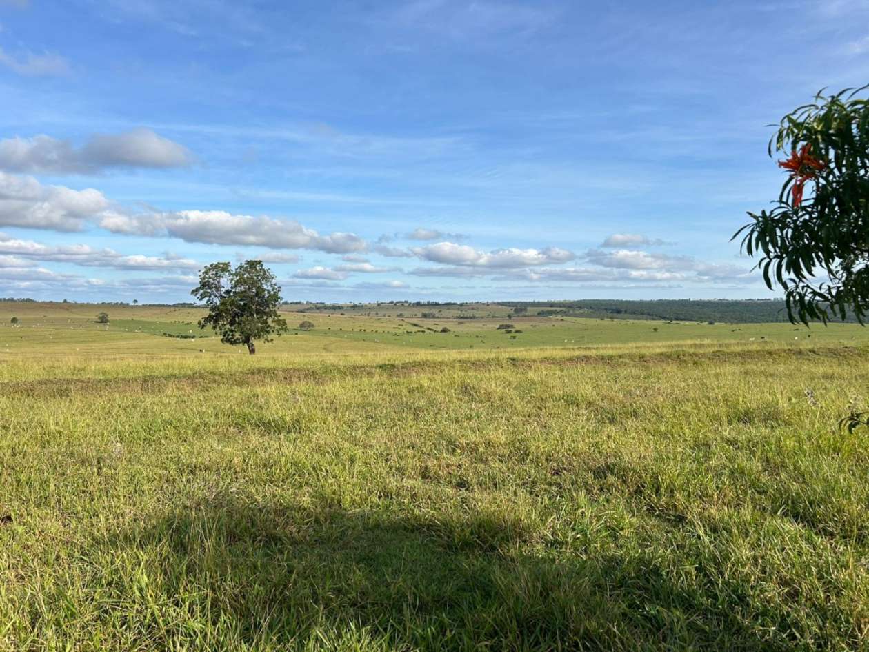 Fazenda, 560 m² - Foto 7