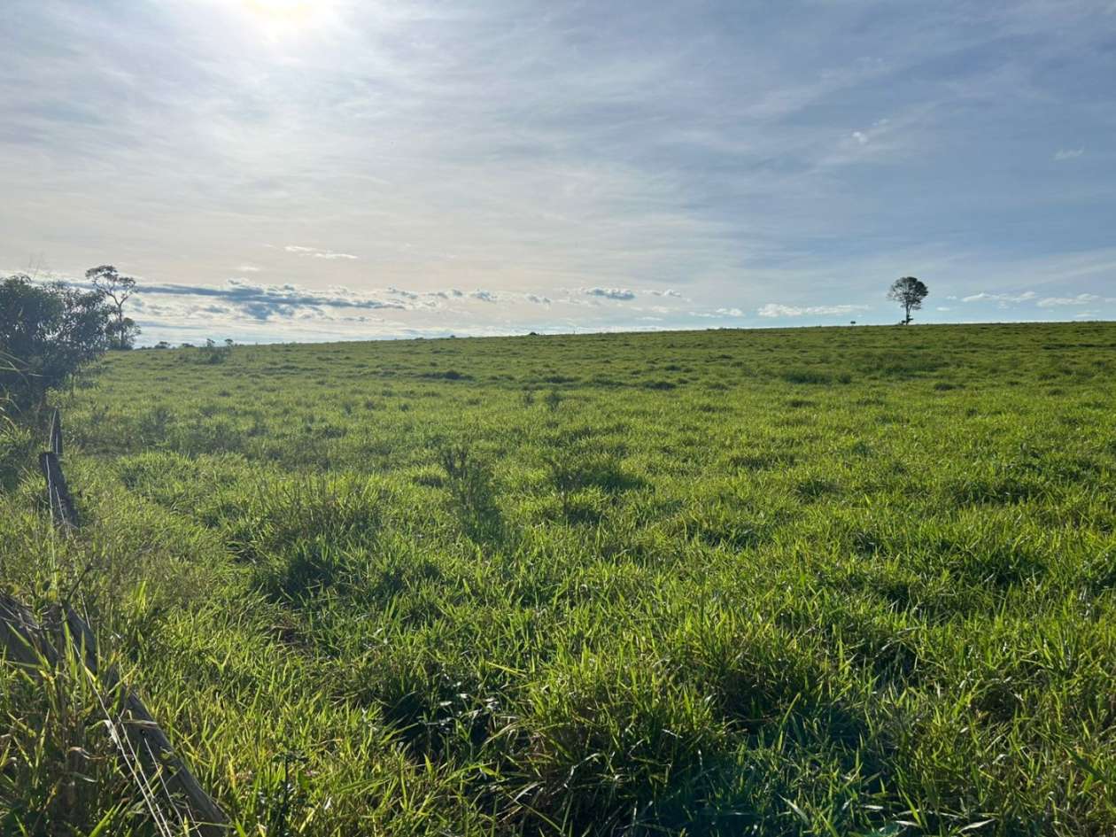 Fazenda, 560 m² - Foto 6