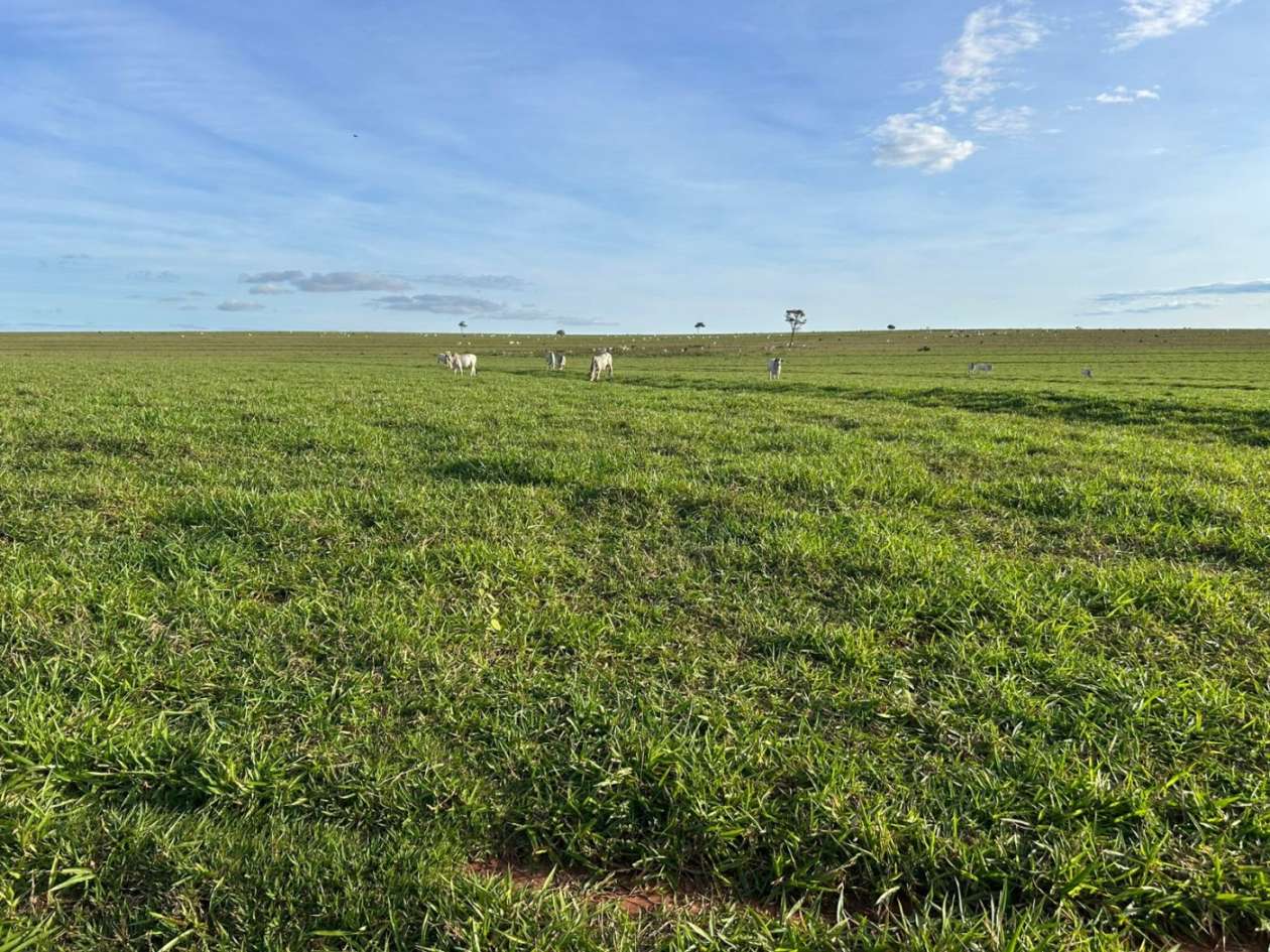 Fazenda, 560 m² - Foto 4
