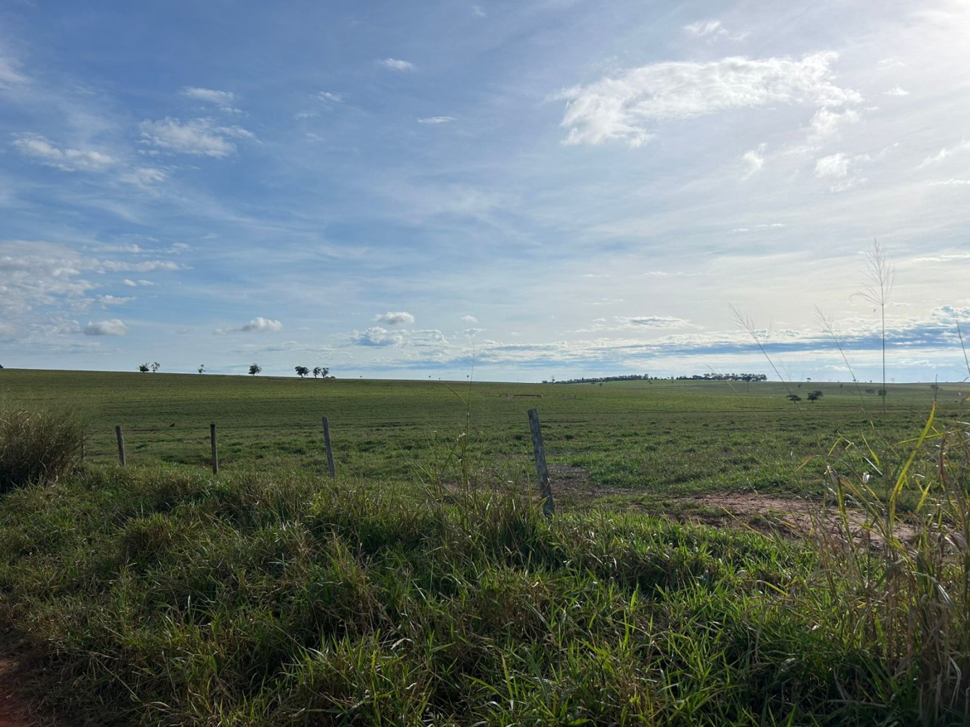 Fazenda, 560 m² - Foto 9