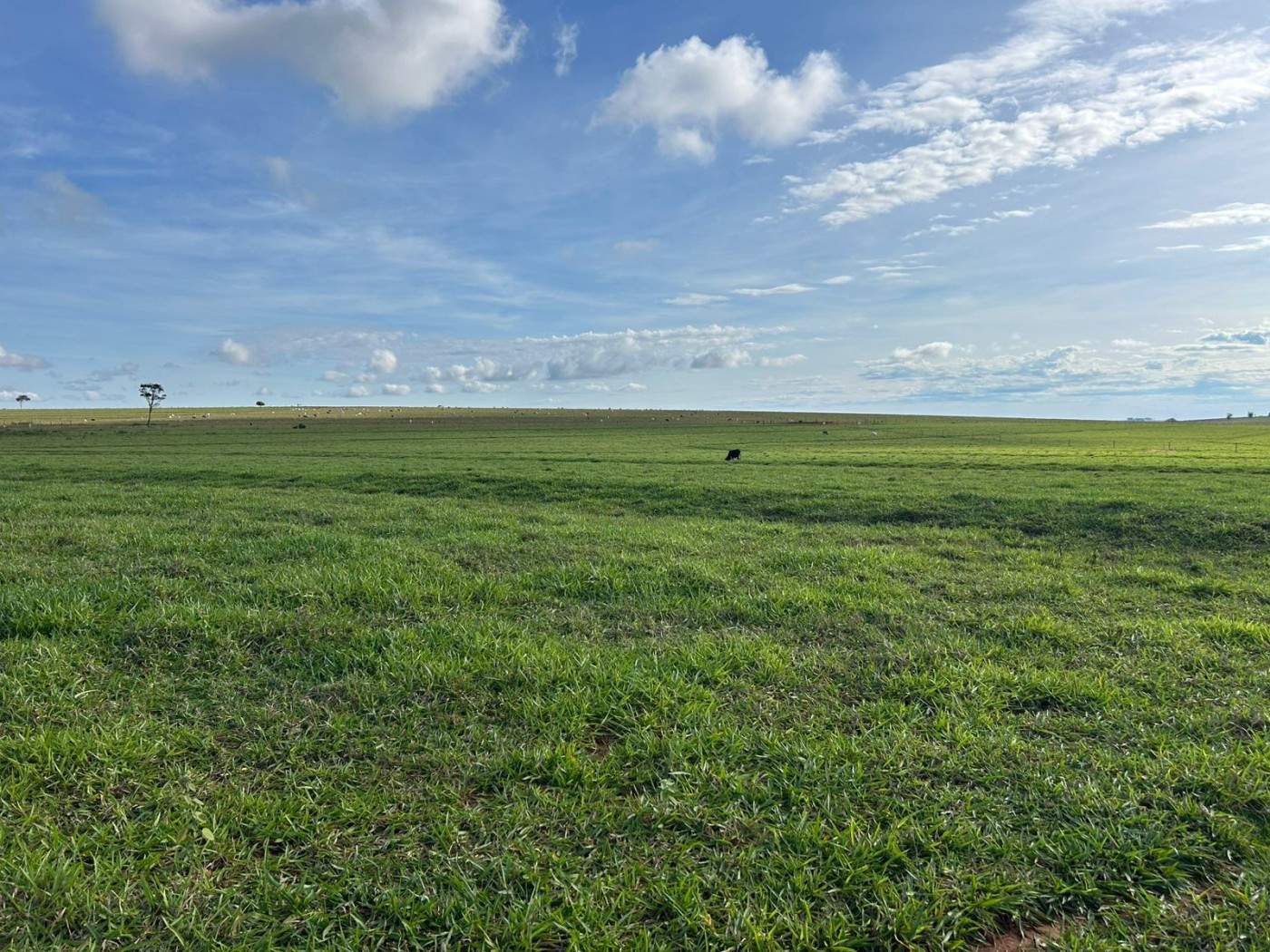 Fazenda, 560 m² - Foto 11
