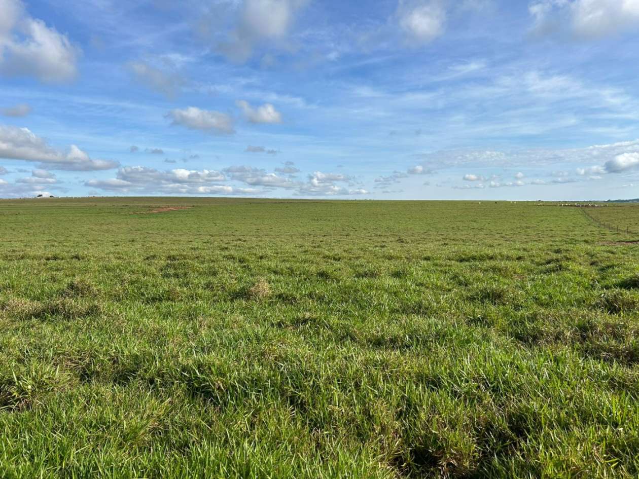 Fazenda, 560 m² - Foto 10