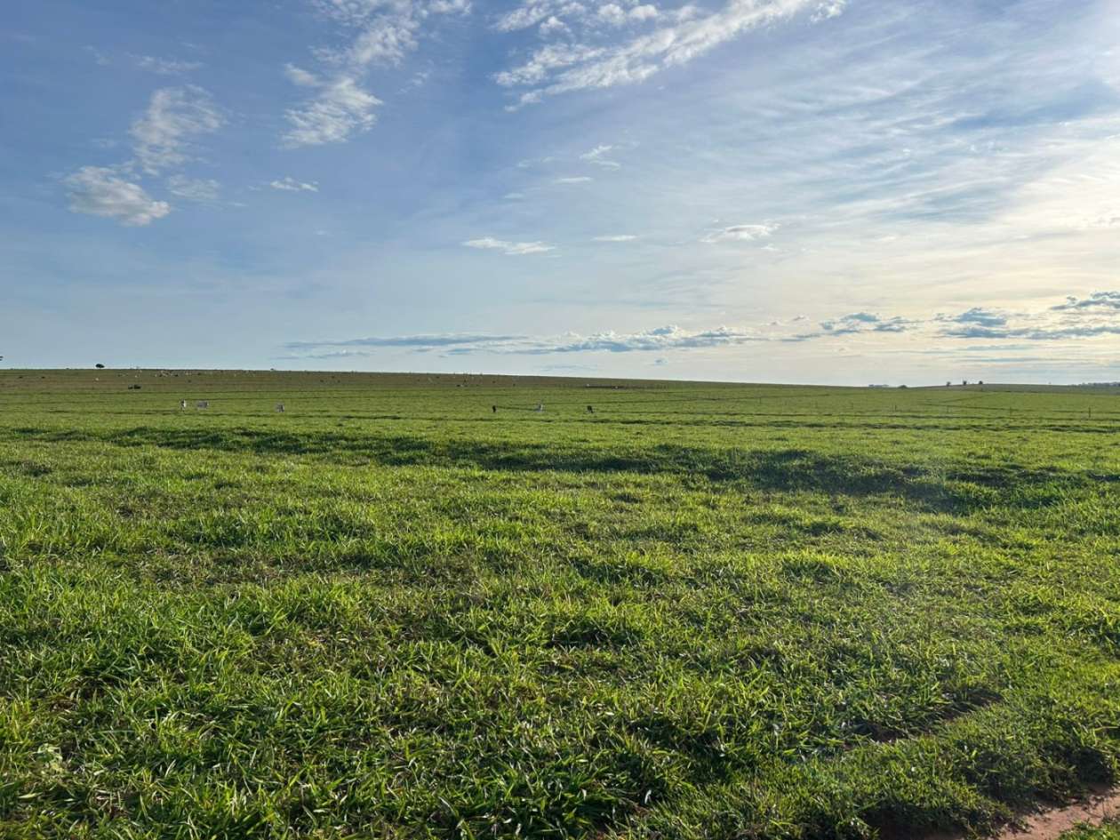 Fazenda, 560 m² - Foto 8