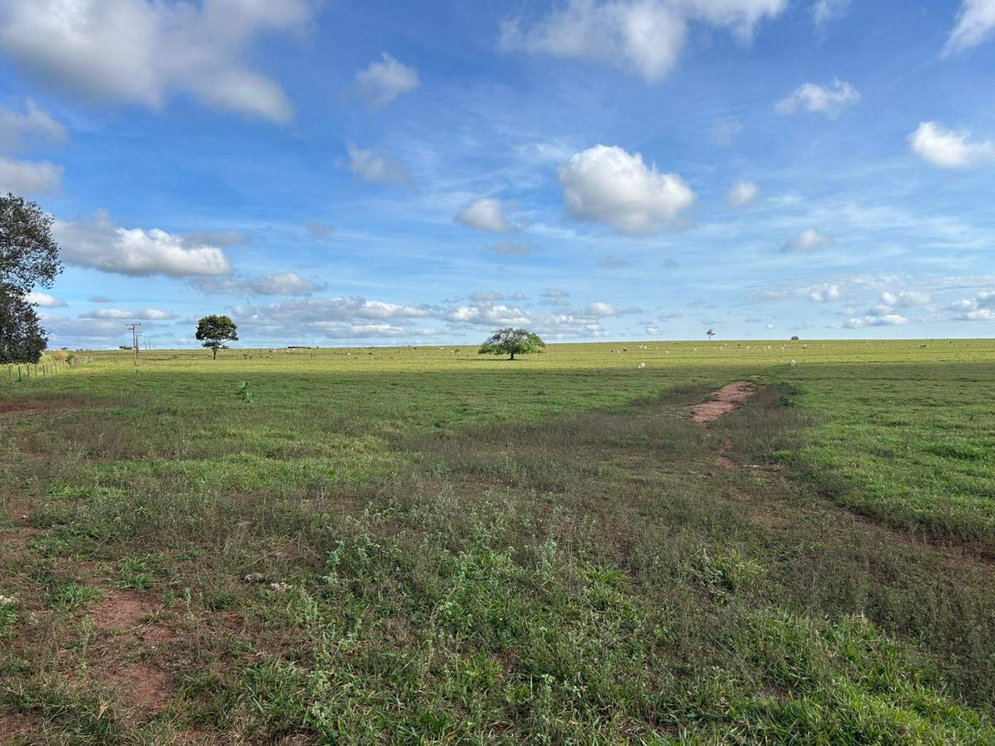 Fazenda, 560 m² - Foto 12