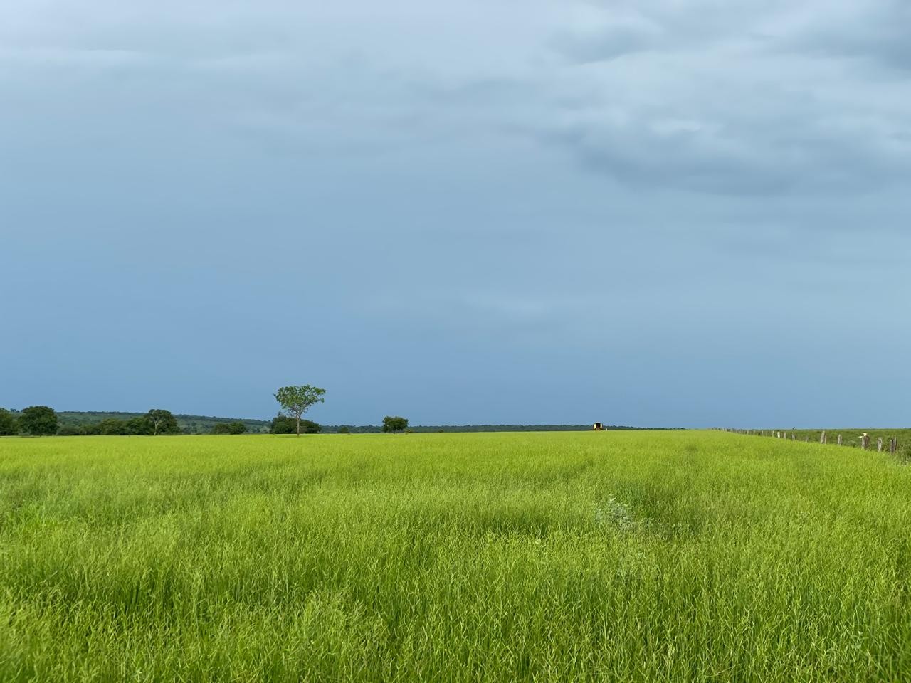 Fazenda, 1825 m² - Foto 6