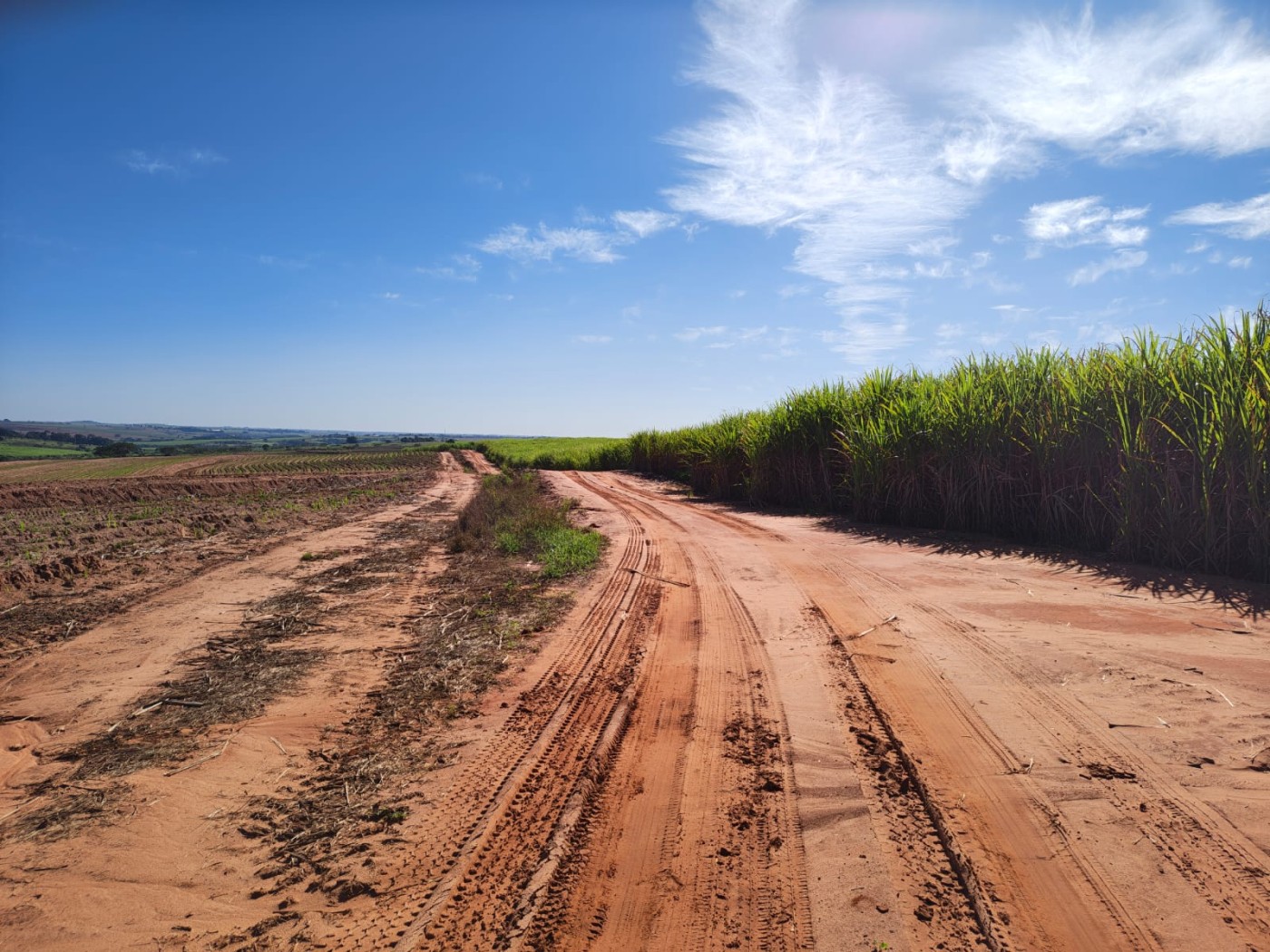 Fazenda - Foto 2