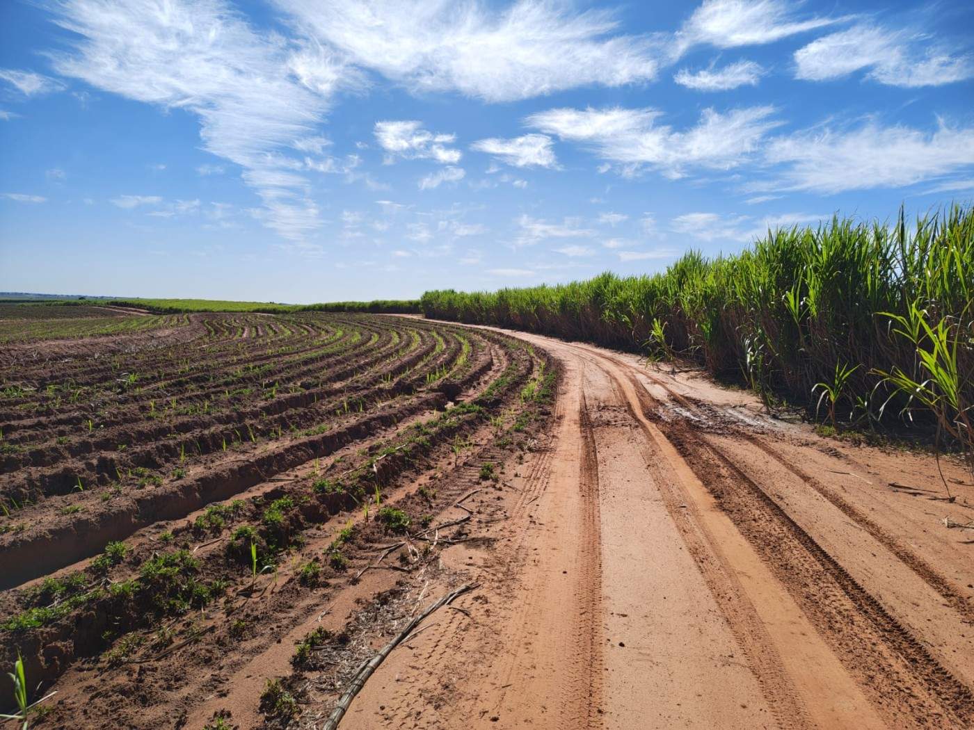 Fazenda - Foto 4