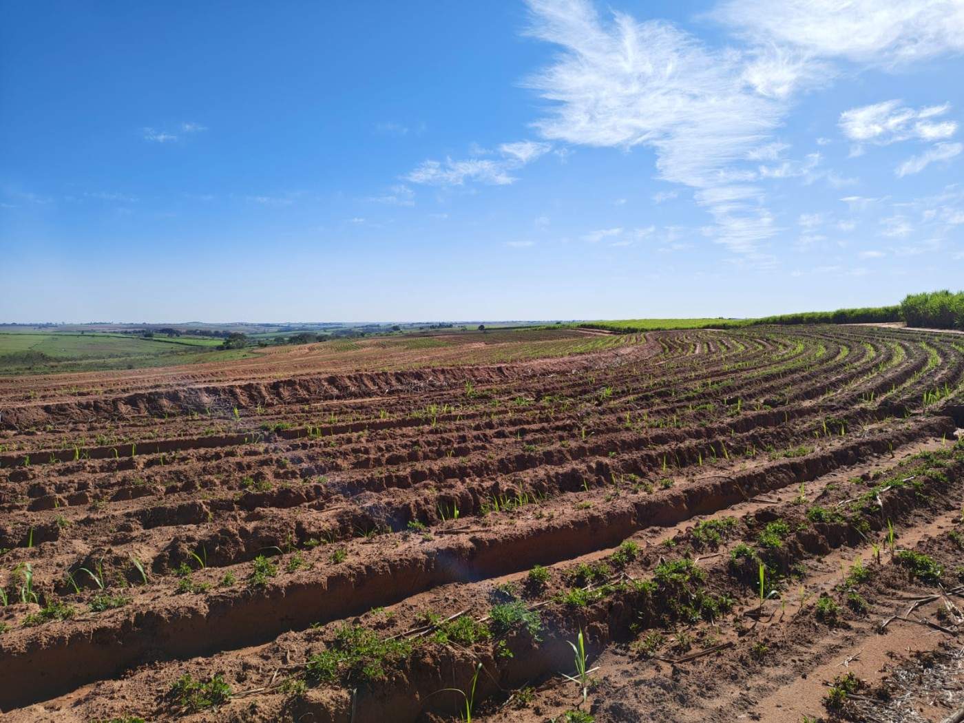 Fazenda - Foto 3