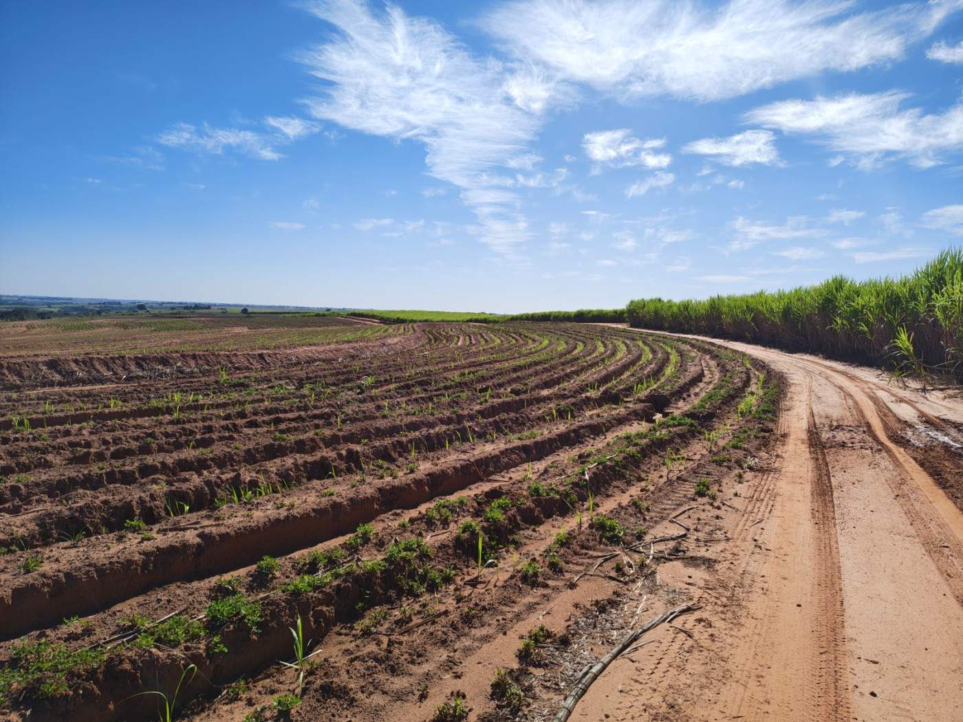 Fazenda - Foto 5