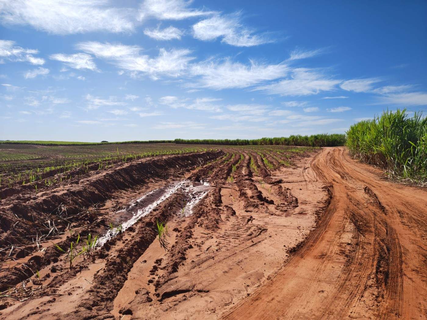 Fazenda - Foto 7