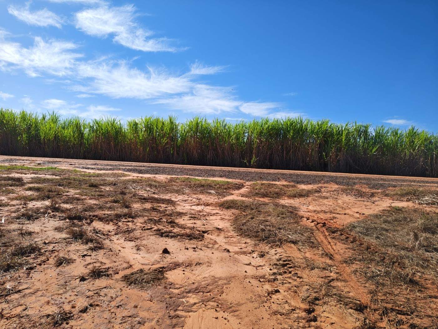 Fazenda - Foto 9