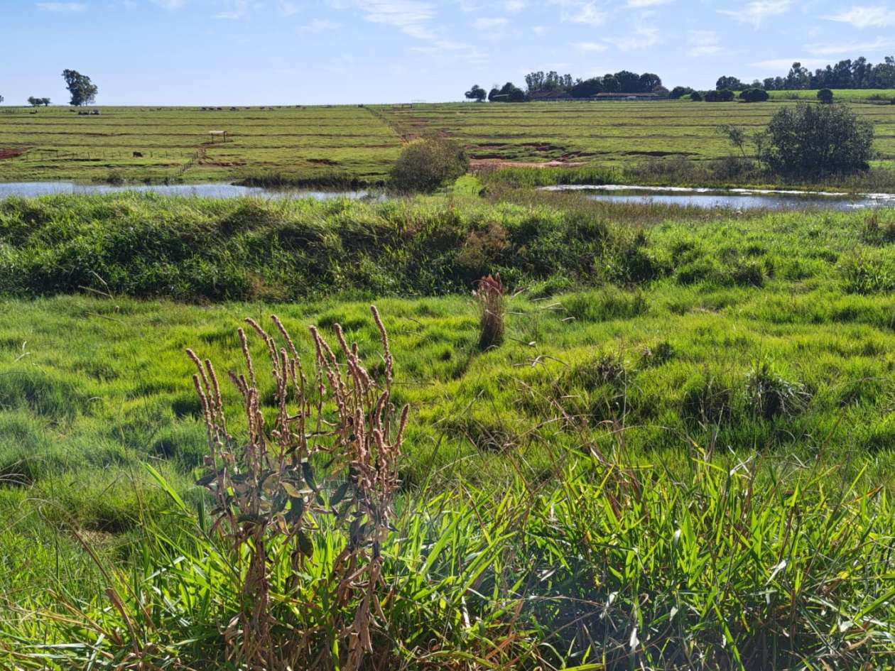 Fazenda - Foto 10