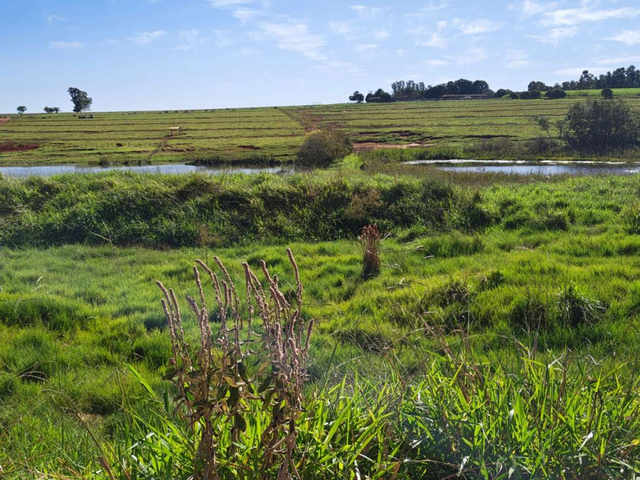 Fazenda - Foto 11