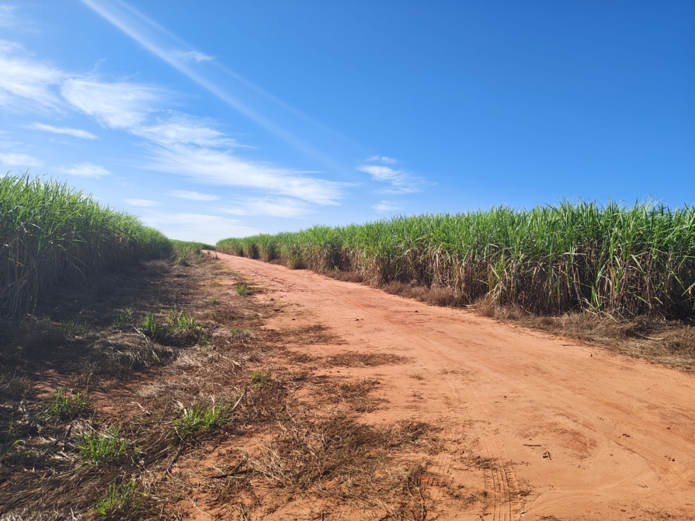 Fazenda - Foto 12