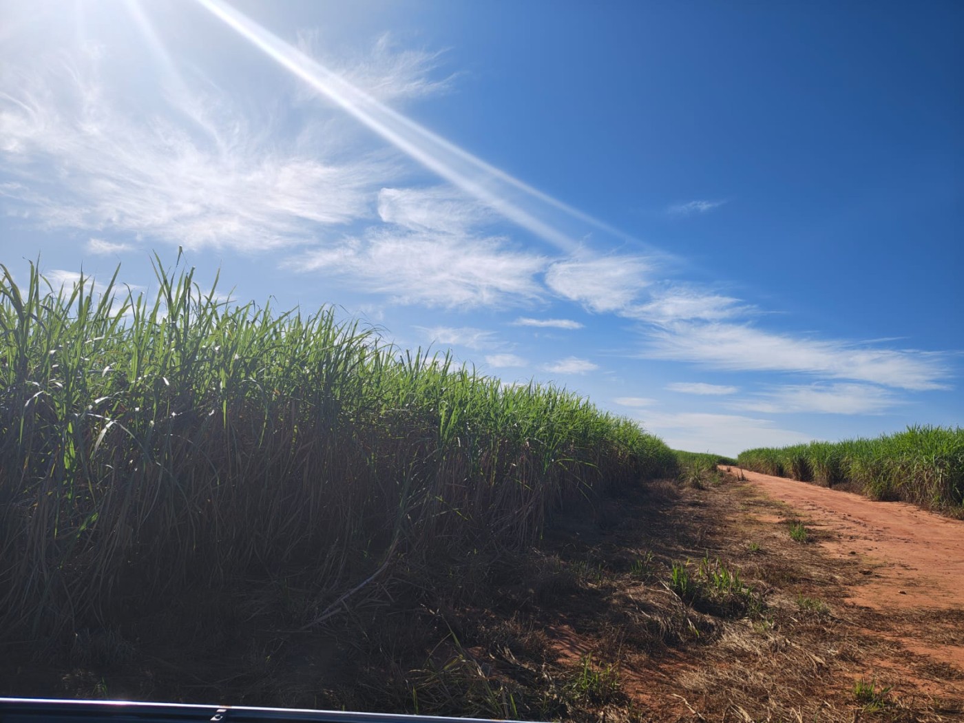 Fazenda - Foto 13