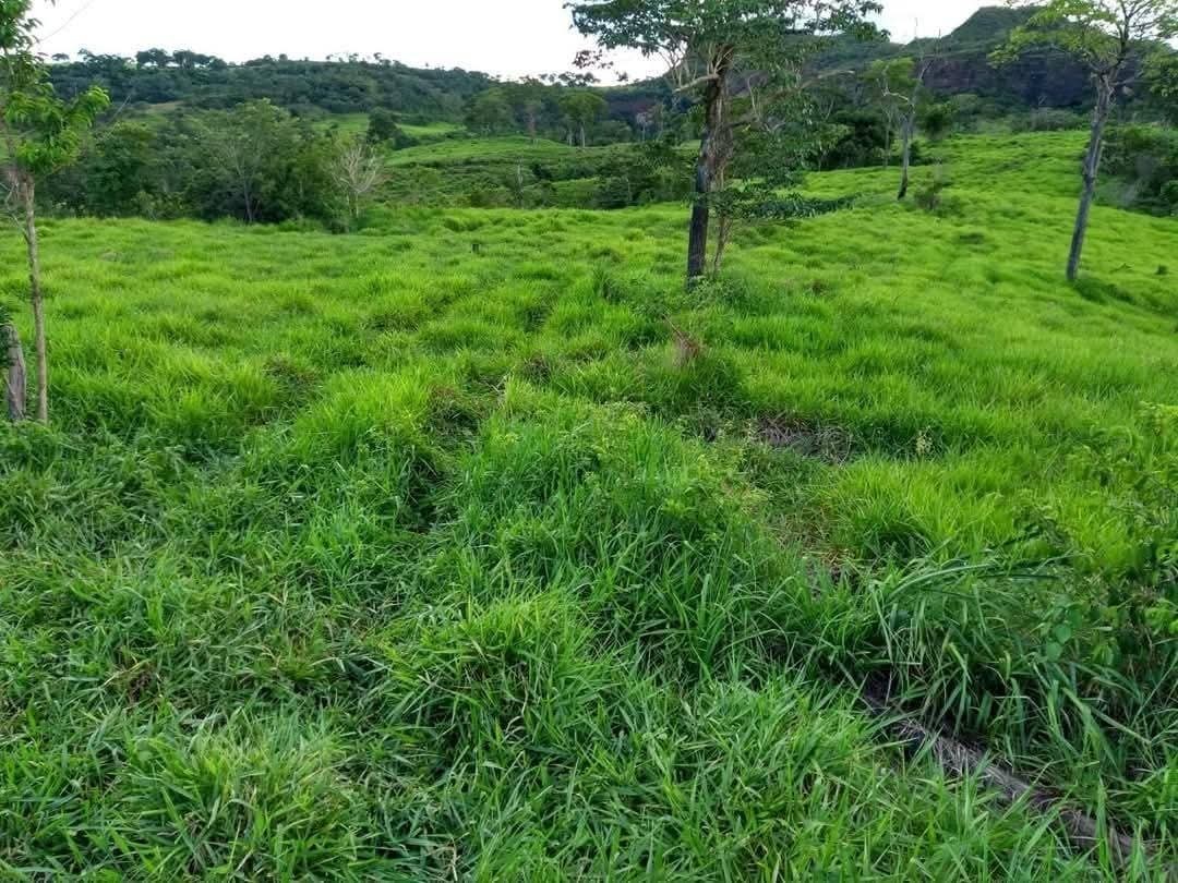 Fazenda, 2508 m² - Foto 2