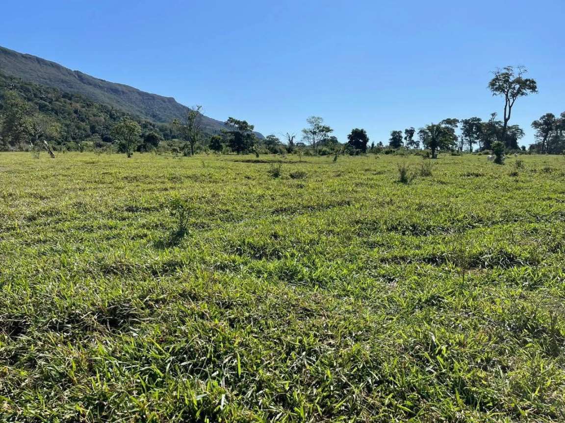 Fazenda, 2508 m² - Foto 4