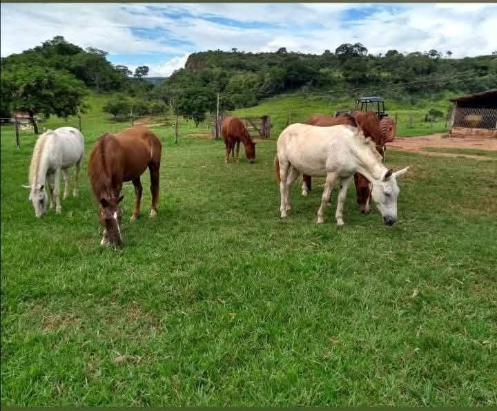 Fazenda, 2508 m² - Foto 9