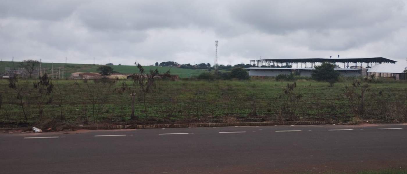 Terreno, 4 hectares - Foto 8