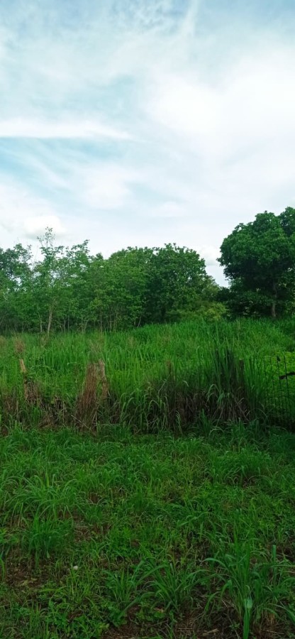Fazenda, 70 m² - Foto 6
