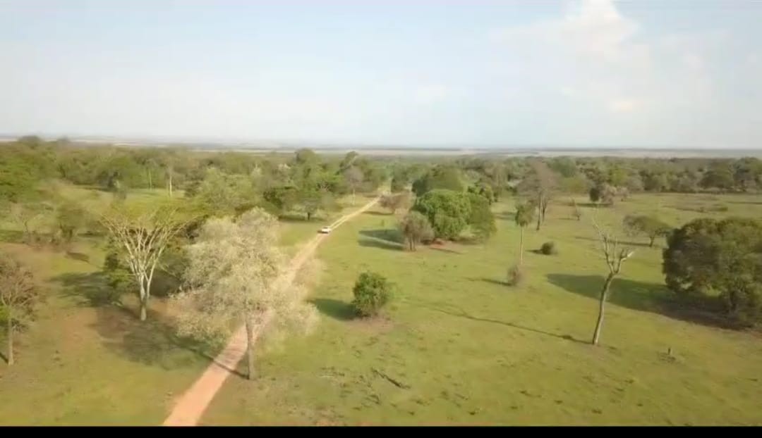 Fazenda, 540 m² - Foto 2