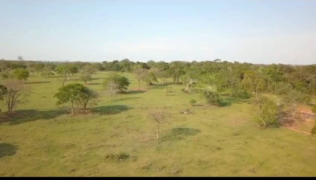 Fazenda, 540 m² - Foto 3