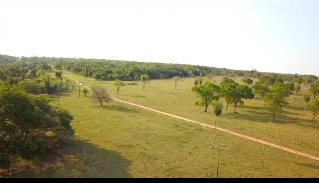 Fazenda, 540 m² - Foto 5
