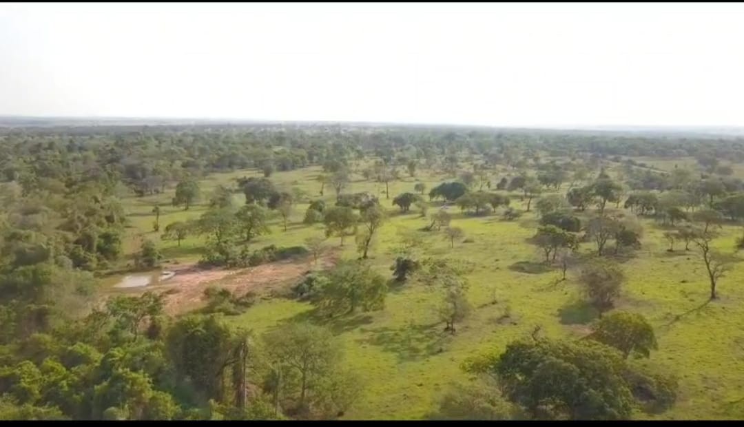 Fazenda, 540 m² - Foto 4