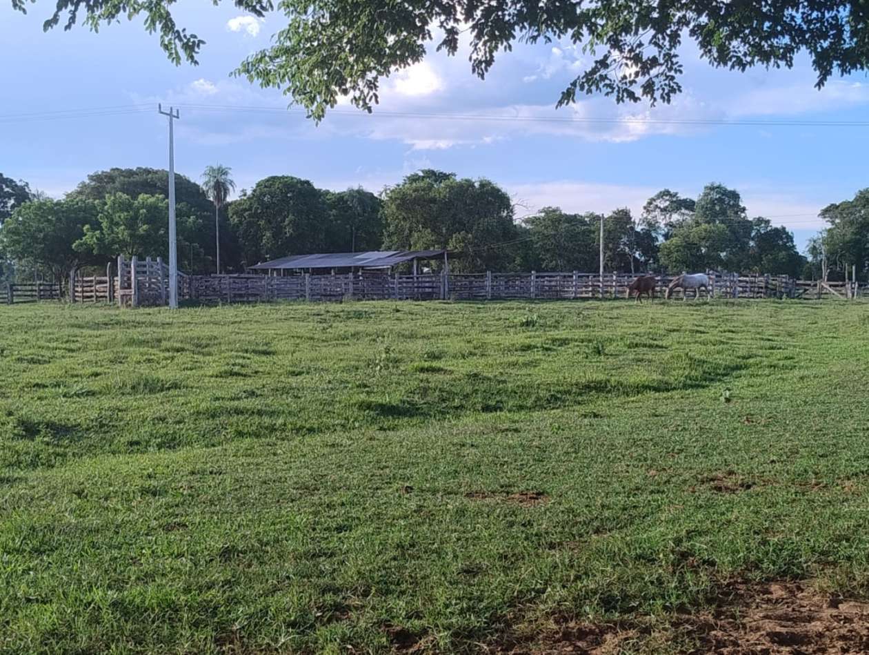 Fazenda, 540 m² - Foto 13