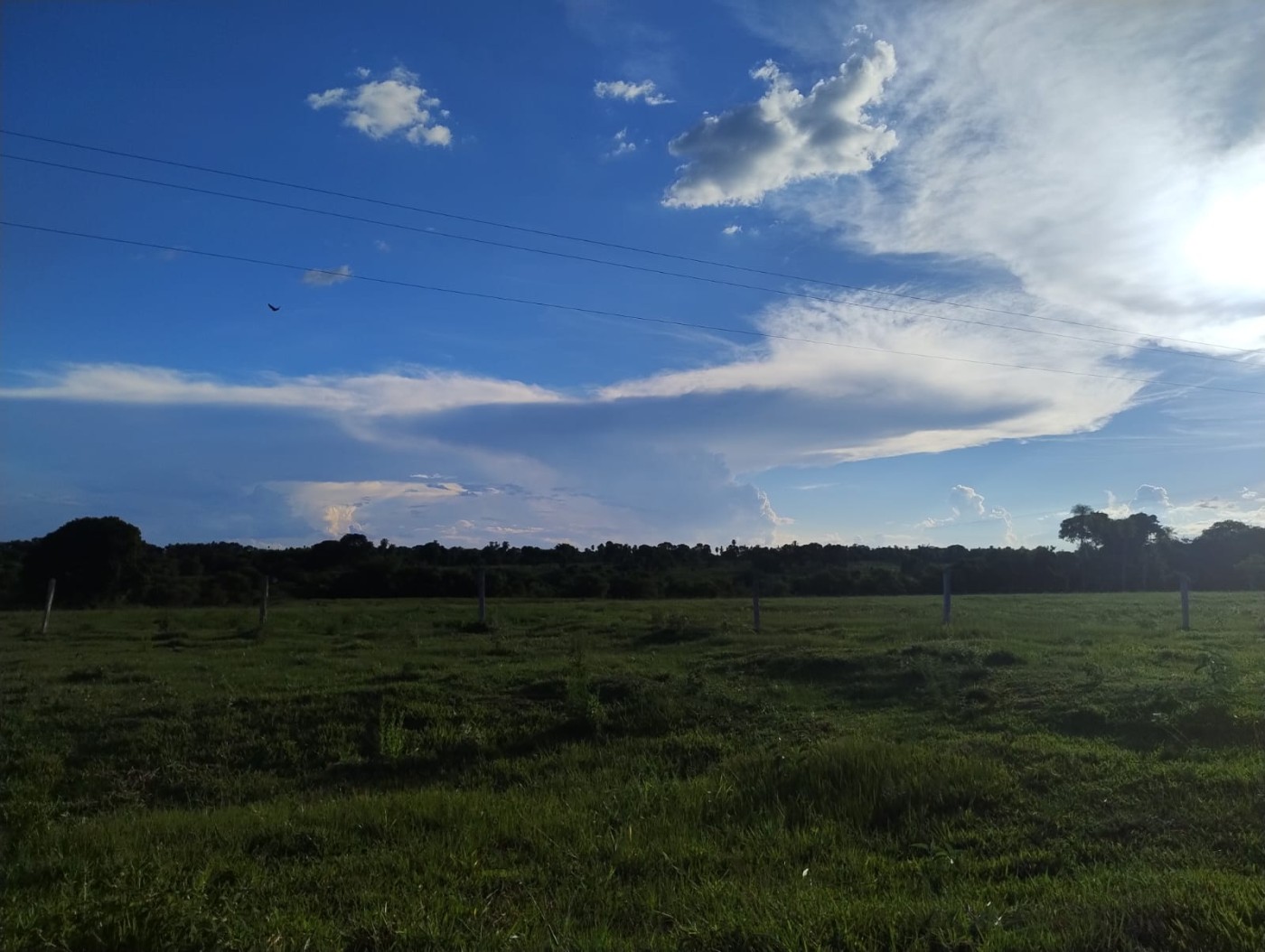 Fazenda, 540 m² - Foto 12