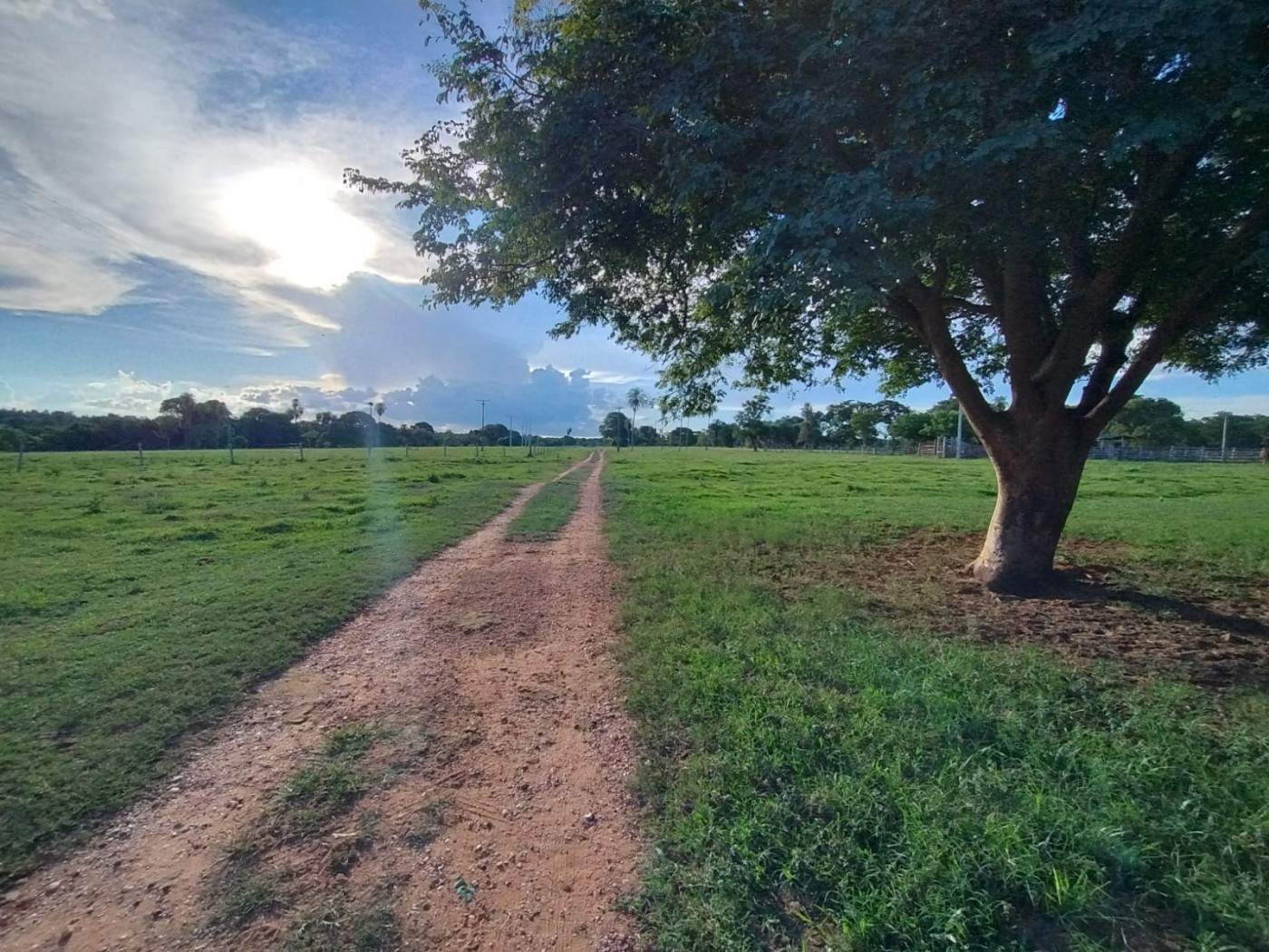 Fazenda, 540 m² - Foto 15
