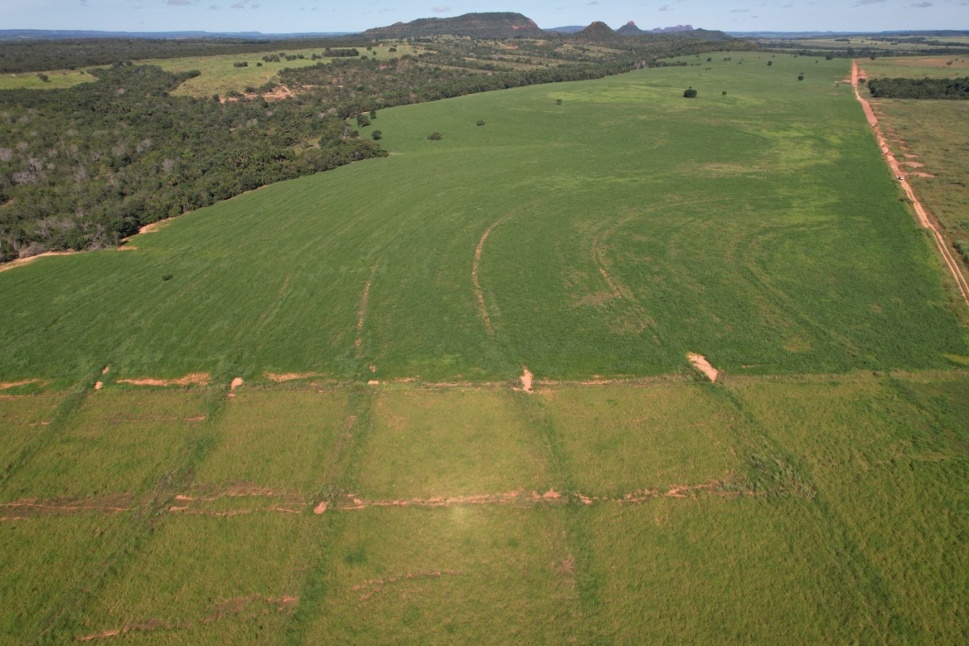 Fazenda, 7937 m² - Foto 5
