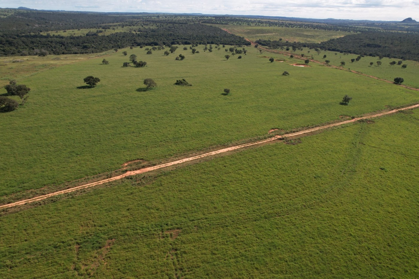 Fazenda, 7937 m² - Foto 6