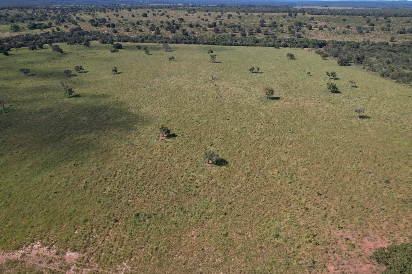 Fazenda, 7937 m² - Foto 11