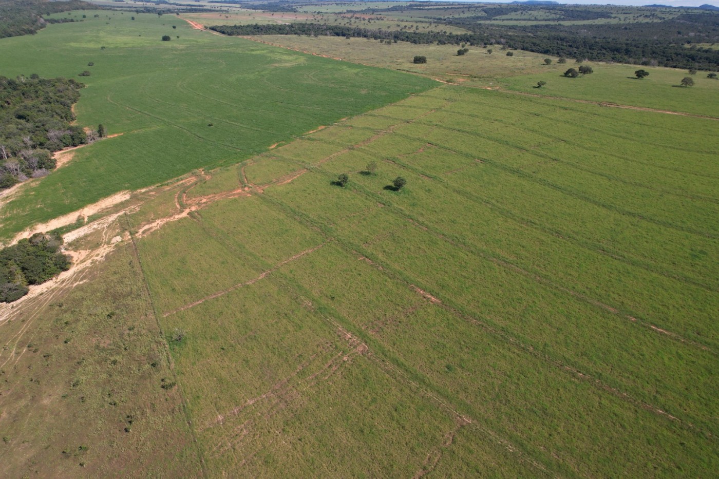 Fazenda, 7937 m² - Foto 13