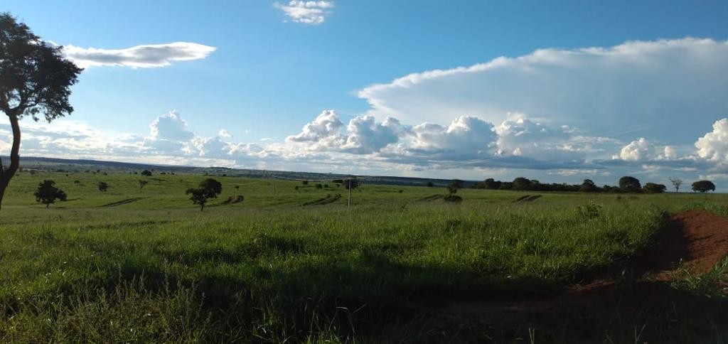 Fazenda, 600 m² - Foto 3