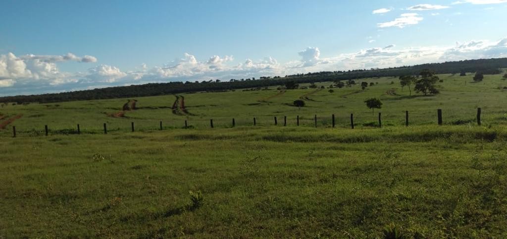 Fazenda, 600 m² - Foto 5