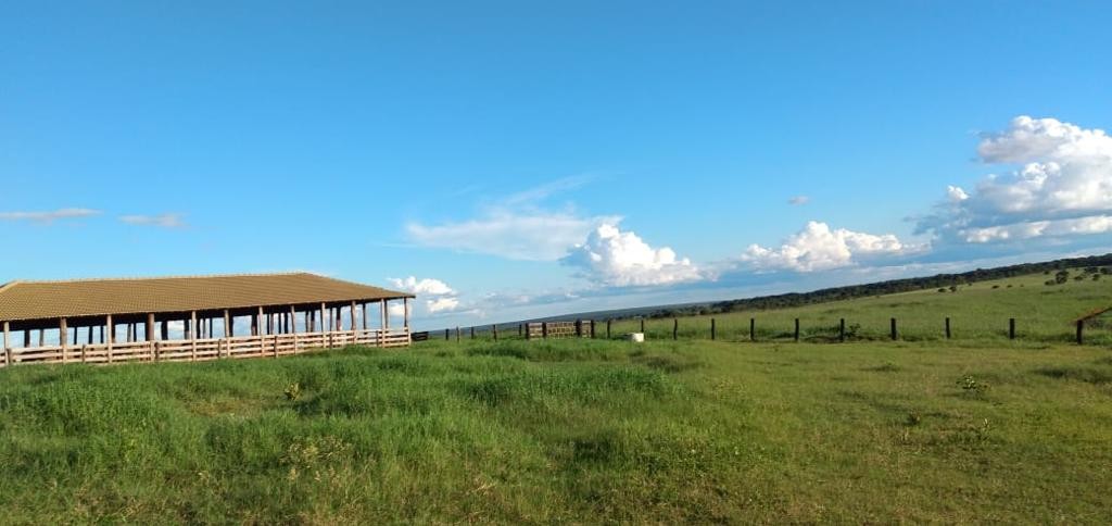 Fazenda, 600 m² - Foto 4