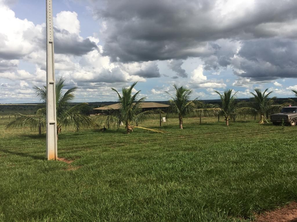 Fazenda, 600 m² - Foto 8