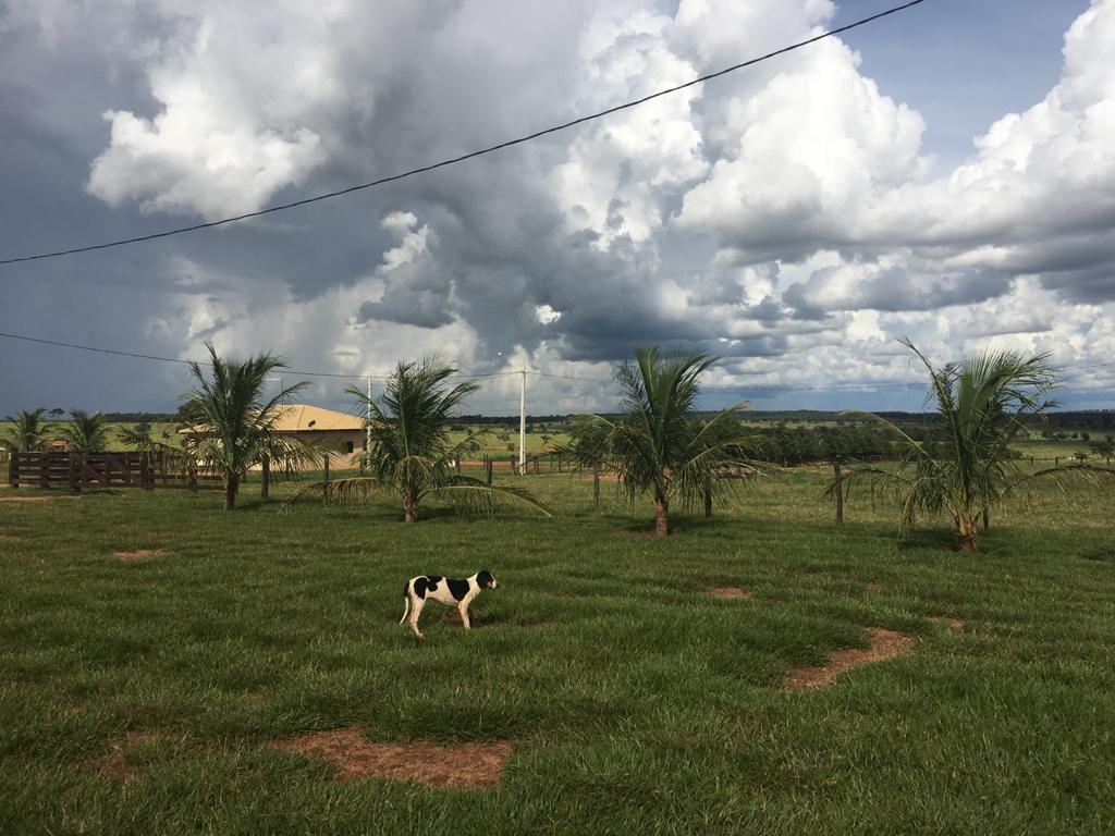 Fazenda, 600 m² - Foto 9