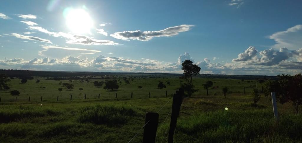 Fazenda, 600 m² - Foto 15