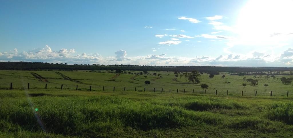 Fazenda, 600 m² - Foto 14